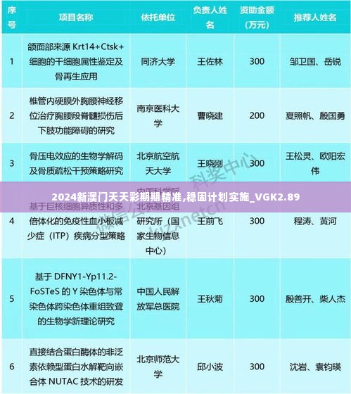 2024新澳门天天彩期期精准,稳固计划实施_VGK2.89