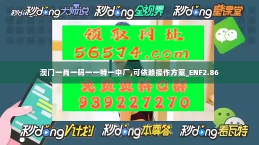 澳门一肖一码一一特一中厂,可依赖操作方案_ENF2.86