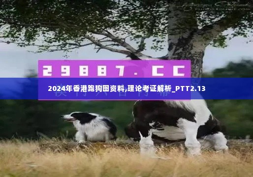 2024年香港跑狗图资料,理论考证解析_PTT2.13