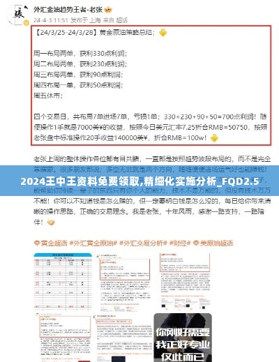 2024王中王资料免费领取,精细化实施分析_FQD2.5