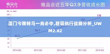 澳门今晚特马一肖必中,稳固执行战略分析_UWM2.62