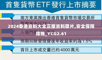 2024香港资料大全正版资料图片,安全保障措施_YCG2.61