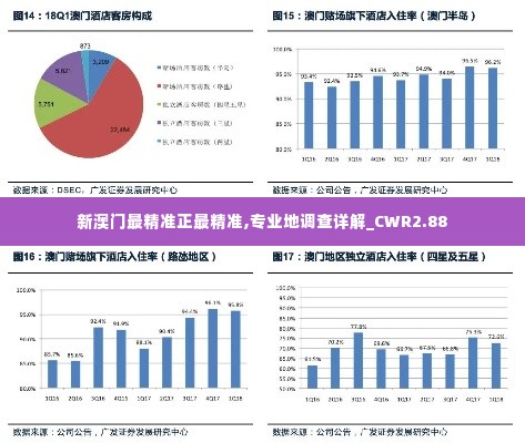 新澳门最精准正最精准,专业地调查详解_CWR2.88