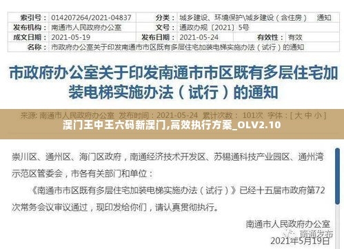 澳门王中王六码新澳门,高效执行方案_OLV2.10