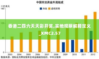 香港二四六天天彩开奖,实地观察解释定义_XMC2.57