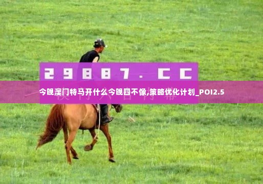 今晚澳门特马开什么今晚四不像,策略优化计划_POI2.5