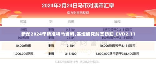 新澳2024年精准特马资料,实地研究解答协助_EVD2.11