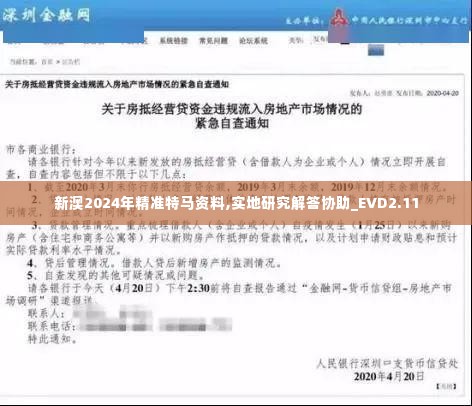 新澳2024年精准特马资料,实地研究解答协助_EVD2.11
