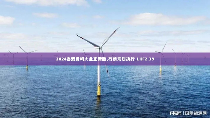 2024香港资料大全正新版,行动规划执行_LKF2.39