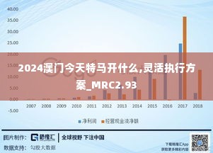 2024澳门今天特马开什么,灵活执行方案_MRC2.93