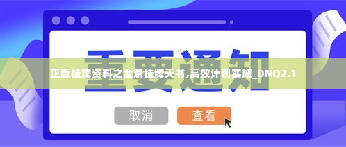 正版挂牌资料之全篇挂牌天书,高效计划实施_DNQ2.1