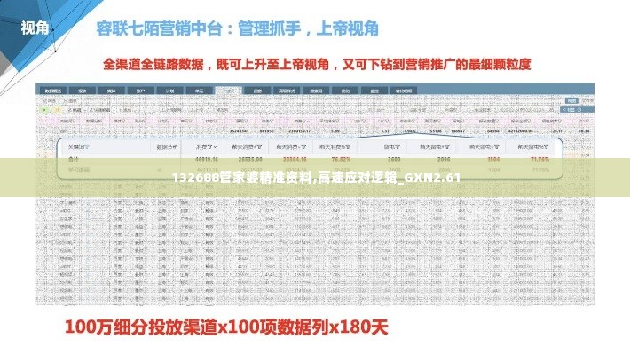 132688管家婆精准资料,高速应对逻辑_GXN2.61