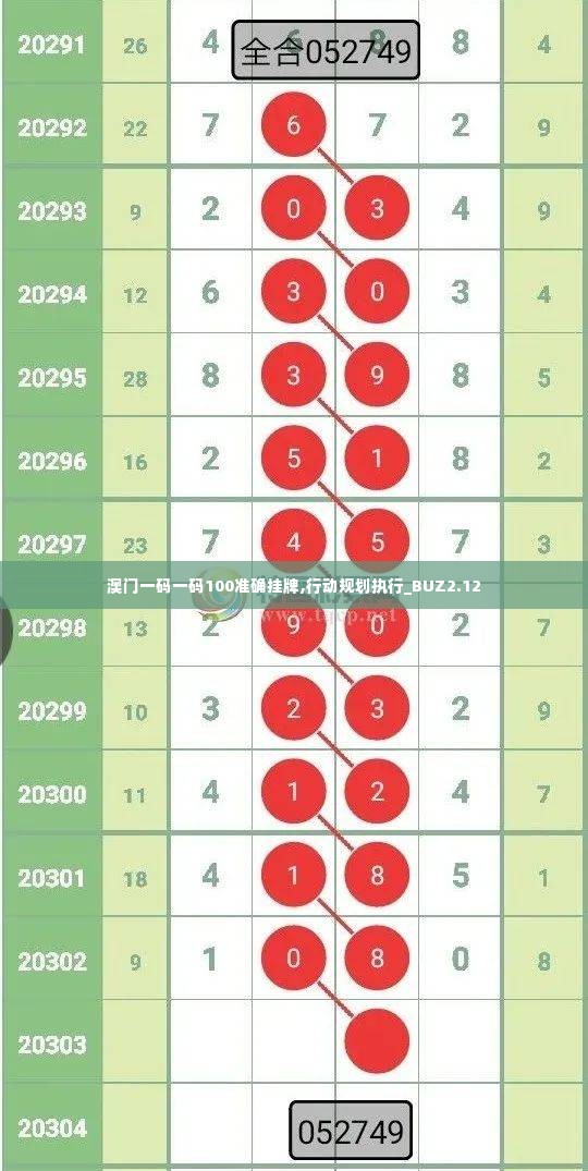 澳门一码一码100准确挂牌,行动规划执行_BUZ2.12