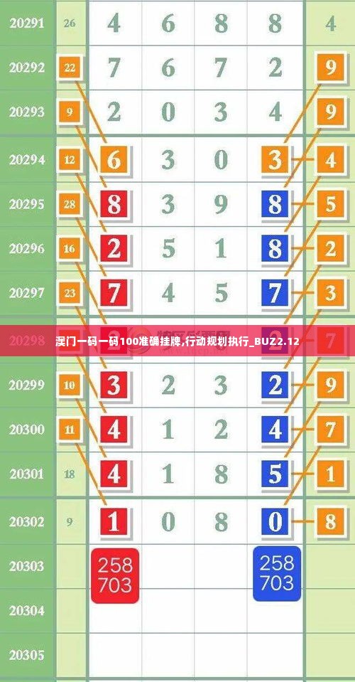 澳门一码一码100准确挂牌,行动规划执行_BUZ2.12