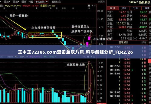 王中王72385.cσm查询单双八尾,科学解释分析_FLR2.26