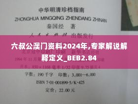 六叔公澳门资料2024年,专家解说解释定义_BEB2.84