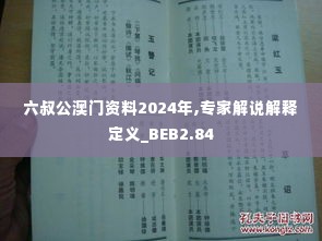 六叔公澳门资料2024年,专家解说解释定义_BEB2.84