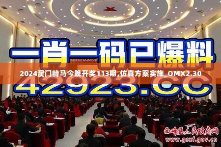 2024澳门特马今晚开奖113期,仿真方案实施_OMX2.30