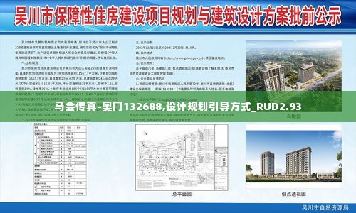马会传真-奥冂132688,设计规划引导方式_RUD2.93
