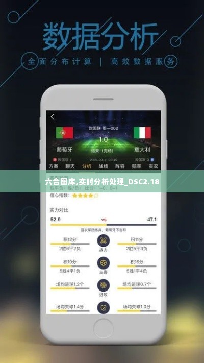 六合图库,实时分析处理_DSC2.18