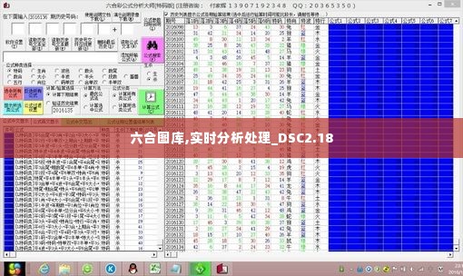 六合图库,实时分析处理_DSC2.18