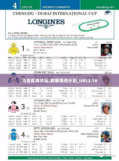 飞蝗芜湖 第7页