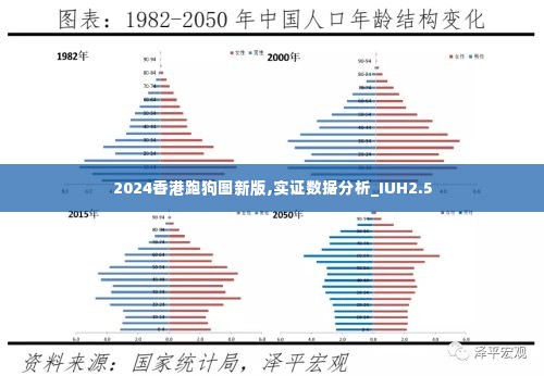 2024香港跑狗图新版,实证数据分析_IUH2.5
