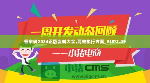 管家婆2024正版资料大全,高效执行方案_GUP2.49