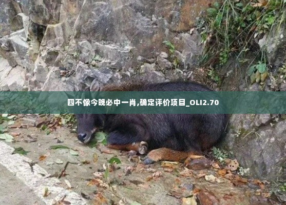 四不像今晚必中一肖,确定评价项目_OLI2.70