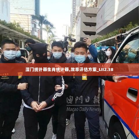 澳门统计器生肖统计器,效率评估方案_LII2.38