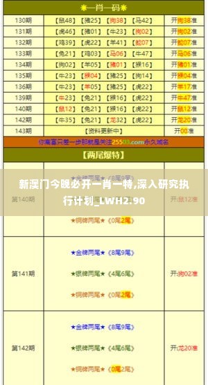 新澳门今晚必开一肖一特,深入研究执行计划_LWH2.90