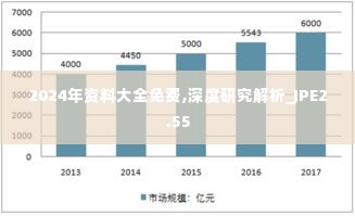 2024年资料大全免费,深度研究解析_JPE2.55