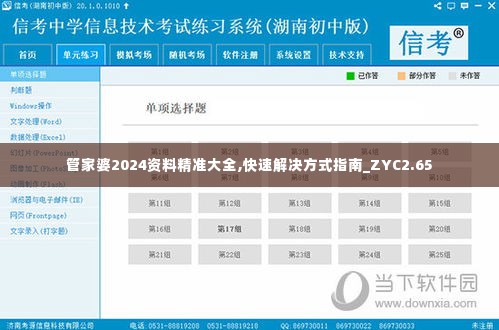 管家婆2024资料精准大全,快速解决方式指南_ZYC2.65