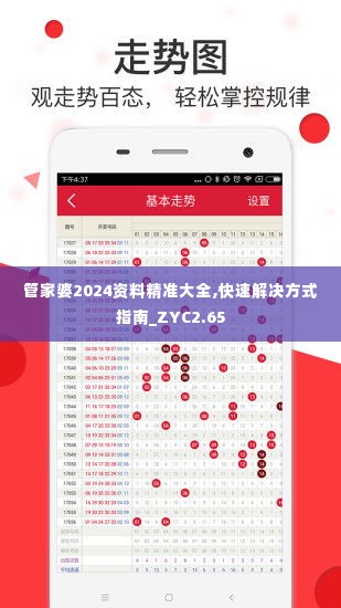 管家婆2024资料精准大全,快速解决方式指南_ZYC2.65
