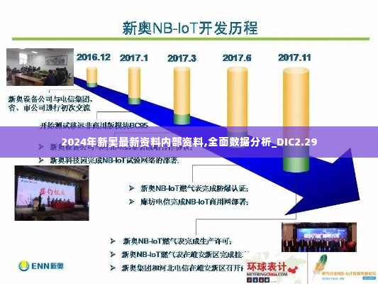 2024年新奥最新资料内部资料,全面数据分析_DIC2.29