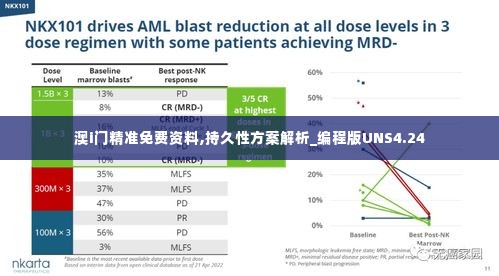澳i门精准免费资料,持久性方案解析_编程版UNS4.24