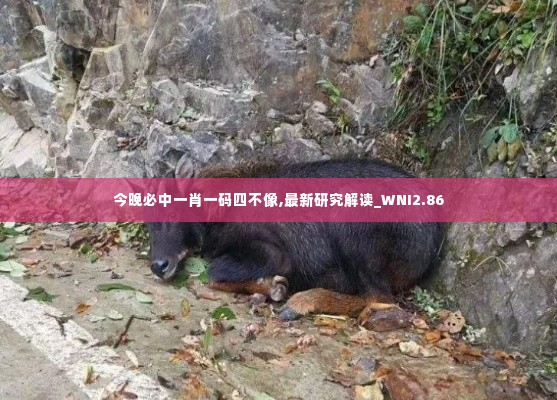 今晚必中一肖一码四不像,最新研究解读_WNI2.86