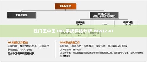 澳门王中王100,系统评估分析_MWI2.47