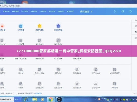 7777888888管家婆精准一肖中管家,解密安防视图_QEQ2.58