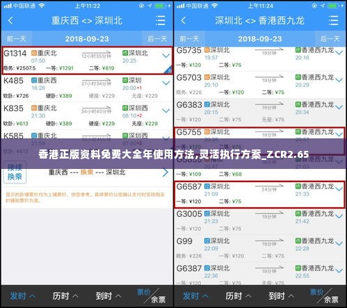 香港正版资料免费大全年使用方法,灵活执行方案_ZCR2.65