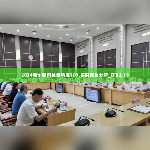 2024新奥资料免费精准109,实时数据分析_EFB2.19