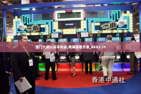 澳门六叔公高手论谈,数据获取方案_BKX2.15