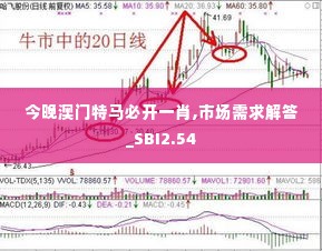 今晚澳门特马必开一肖,市场需求解答_SBI2.54