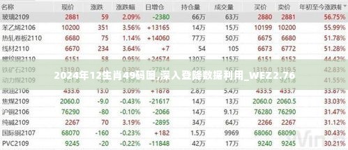 2024年12生肖49码图,深入登降数据利用_WEZ2.76