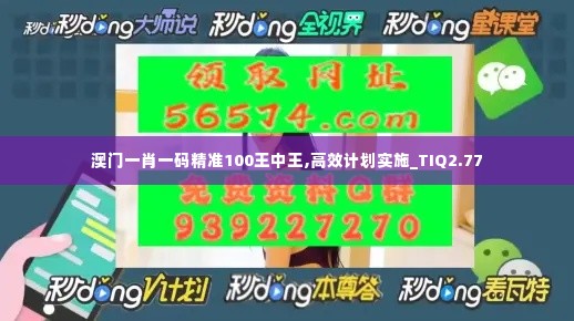 澳门一肖一码精准100王中王,高效计划实施_TIQ2.77