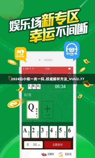 2024白小姐一肖一码,权威解析方法_VUU2.77