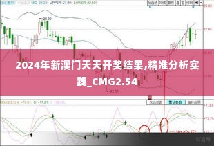 2024年新澳门天天开奖结果,精准分析实践_CMG2.54