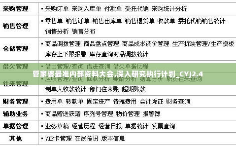管家婆最准内部资料大会,深入研究执行计划_CYJ2.4
