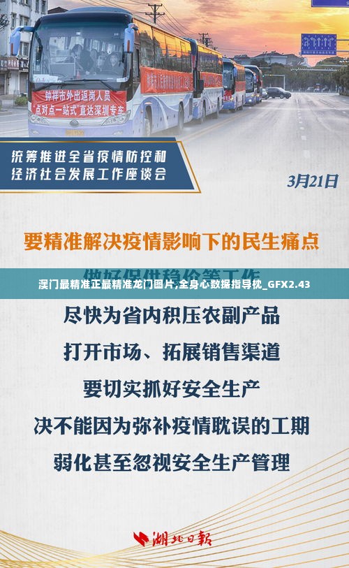 澳门最精准正最精准龙门图片,全身心数据指导枕_GFX2.43