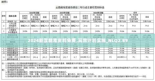 2024新澳精准资料免费,高效计划实施_NLQ2.89